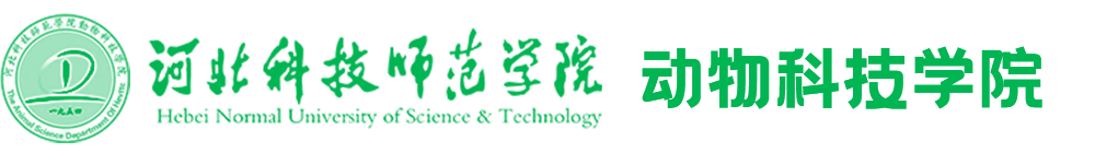 304永利集团官网入口